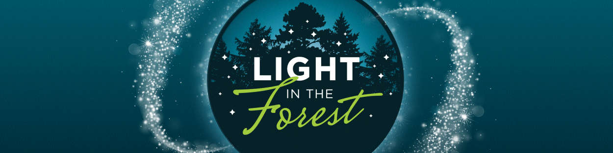 Light In the Forest Banner